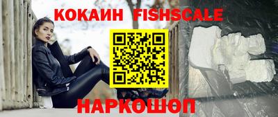 гидра Будённовск