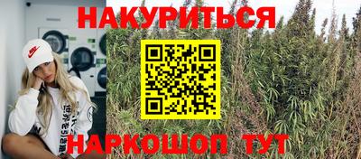 гидра Будённовск