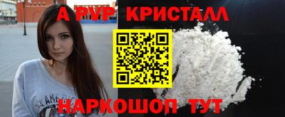 гидра Будённовск
