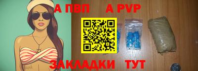 гидра Будённовск