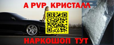 гидра Будённовск