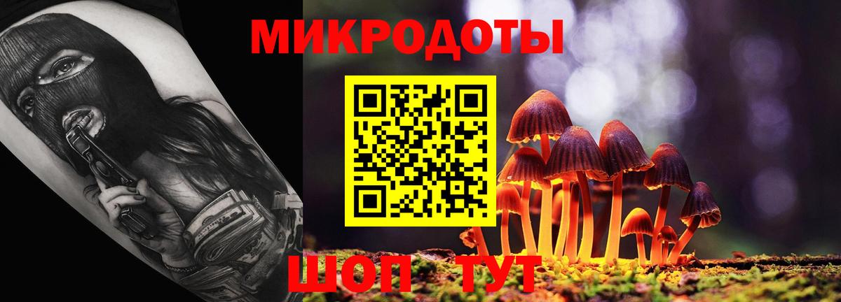 Галлюциногенные грибы GOLDEN TEACHER  хочу   Мурино  Вход с VPN  Галлюциногенные грибы MAGIC MUSHROOMS 